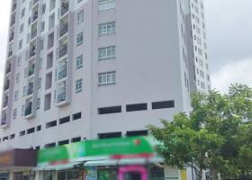 Cần bán gấp shophouse chung cư Ngọc Lan, đường Phú Thuận, Q7; 327 m2, giá bán 10 tỷ 4703654