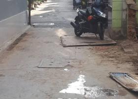 Nhà 2MT hẻm 202 Phạm Văn Hai, P5, quận Tân Bình, 5x11m, 4 lầu, giá 6,5 tỷ 5071861
