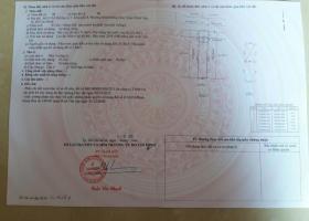 Bán nhà hẻm 7m 60/3 đường Số 5, Bình Hưng Hòa, Bình Tân, 4x21m, 4.15 tỷ 5367734
