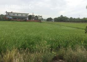 Cần bán 11.000 m2 đất vườn trong khu dân Bùi Thanh Khiết – Bình Chánh 5694172