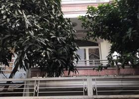 Bán nhà riêng tại Đường Nguyễn Thị Thập, Phường Bình Thuận, Quận 7, Tp.HCM diện tích 100m2  giá 11,5 Tỷ 5727463