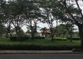 Bán biệt thự Mỹ Phú 3 mặt tiền đường lớn nhìn trực diện công viên lớn Phú Mỹ Hưng DT: 271m2, LH 0942.44.3499 6028742