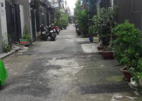 Bán Nhà HXH Võ Thành Trang P 11 Q.Tân Bình (4x13),54m2 1 lầu Giá: 5 Tỷ 6051965