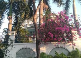 Bán Biệt thự vườn đường Trần Não - kiên trúc Châu Âu - Nhà đẹp ở ngay 6160390