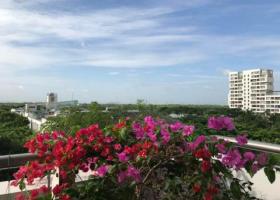 Biệt thự Nam Quang 2, Phú Mỹ Hưng, Q.7, DT 270m2 góc 2 mặt tiền giá bán 40 tỷ, LH: 0912183060- Hiệu 6165235