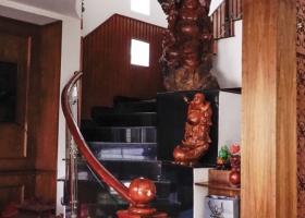 Chính chủ bán nhà biệt siêu thự 219m2, tại 80/9 Yên Thế, P. 2, Tân Bình. Giá 31 tỷ 6187714
