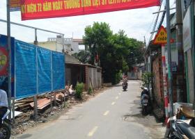 Bán lô đất hẻm xe hơi đường 10,Cát Lái,cách Nguyễn Thị Định 200m. 6265362
