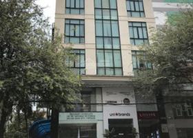 Chính chủ cần bán gấp tòa nhà văn phòng mặt tiền Nguyễn Thái Bình, Phường 12, Quận Tân Bình. 6335810