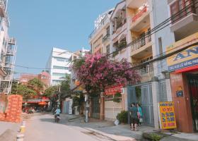 Bán gấp nhà hẻm xe hơi 6m Trần Hưng Đạo, Q1 DT: 4.2x18m nở hậu nhà đẹp khu VIP  6523727
