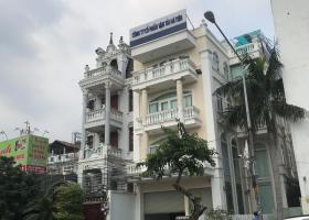 Bán nhà biệt thự siêu sang đường Thảo Điền phường Thảo Điền, Quận 2. 9x20m 3L giá 29tỷ 6568345