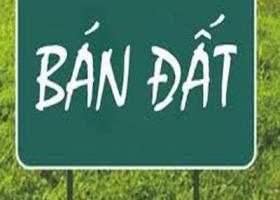 chính chủ bán đất mặt tiền đường Thanh Hoá - Phường Hòa Xuân - Quận Cẩm Lệ - Đà Nẵng 6766174