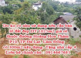 Do ko có nhu sử dụng nên cần bán lô đất đẹp giá rẻ thuộc đường Hoàng Hoa Thám, P10, TP Đà Lạt, Lâm 7003457