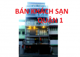 Bán khách sạn Trần Quý Khoách, Phường Tân Định, Quận 1, Tp.HCM, thu 300 triệu /m - Giá 53,5 Tỷ 7005234