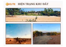 Đất nông nghiệp công nghệ cao Bắc Bình – Bình Thuận 7009221