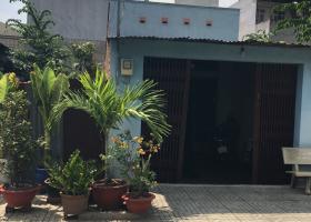 Bán cặp đất hẻm đẹp nhất Lê Văn Quới hẻm 457/ rộng 16m. 8x23.5m Giá bán 13 tỷ chính chủ gửi 7013685