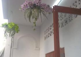 Bán nhà Hẻm 235 Vườn Lài  P.Phú Thọ Hoà 5x9m 1 lầu 4,5 Tỷ (TL) 7049072