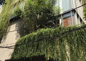 Biệt thự siêu sang chảnh Khu dân Cư tấn Trường Quận 7 400m2, 1 hầm 2 lầu  chỉ 18.5 tỷ.   7059942