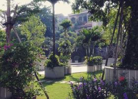 Chính chủ cần bán gấp CHCC Lotus Garden. 7061493