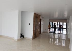 Nhà bán góc 2 MT đường Trần Khắc Chân, Q1. DT 9mx24m, GPXD: H+8T, giá 60tỷ  7098740