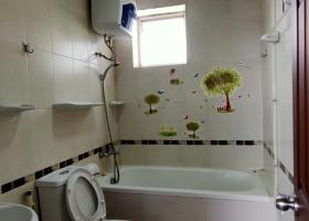 CHO THUÊ CĂN HỘ PHÚ THẠNH DIỆN TÍCH 100M2, 3 PN.TÂN PHÚ .TP HCM 7103587