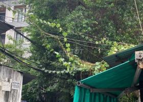 Chính chủ cho thuê nhà số 85/36, Đường Phạm Viết Chánh, Phường 19, Quận Bình Thạnh, Tp Hồ Chí Minh 7143878