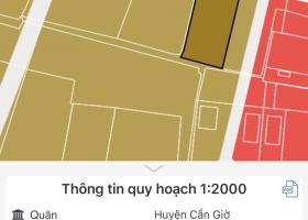 Bán đất thổ cư ngay Mặt tiền Đường xe hơi Xã Long Hòa, Cần Giờ, HCM 7213197