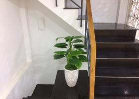 Bán gấp nhà HXH Nguyễn Trãi 4.8x20m, 3 lầu mới giá 17.5 tỷ 7260621