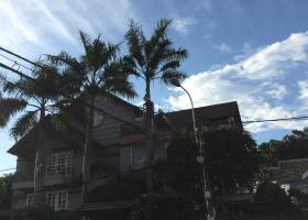 Bán biệt thự 4 tấm có hầm MT đường Số 19B, P. Bình Trị Đông B, 10 x 17m, giá 20 tỷ. khu Tên Lửa 7340429