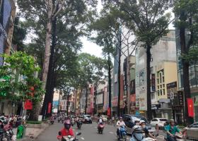 Bán gấp siêu biệt thự, có hồ bơi đường Trương Định, Q3, DT: 983m2, 179 tỷ 7436012