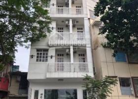 Bán tòa nhà Nguyễn Thị Minh Khai, Q1 (13*20m, hầm 8L, giá 130 tỷ) 7549576