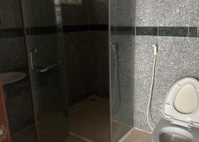 Chính chủ cần bán căn hộ Giai Việt, 854 - 856, Tạ Quang Bửu, Phường 5, Quận 8 7652553