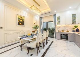 Thanh lý gấp Biệt thự Lam Sơn mùa Euro, 210m2 (9x23), 4 tầng siêu đẹp, giá Sốc 26 tỷ TL 7682483