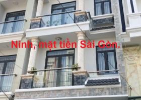 Nhà MT KD ngay Ni Sư Huỳnh Liên, P10, Tân Bình, 85m2, ngang 7m, 4 tầng. Ninh mặt tiền. 7707586