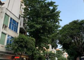 Bán nhà HXH đoạn đẹp Nguyễn Đình Chính Phú Nhuận, DT: 4.2x21m, 2 lầu nhà mới ở ngay giá 12.4 tỷ 7796567
