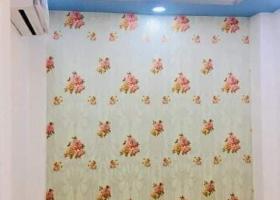 Bán nhà Lê Quang Định Quận Gò Vấp 40m2 3T Nở hậu hxh Giá chỉ 4.5 tỷ  7835138