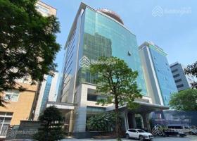 Cần bán 190m2 Nguyễn Thị Minh Khai (10x20). Giá 115 tỷ TL 8004777