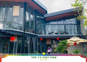 Bán đất thổ cư mặt tiền đường nhựa 20m Pháo Binh , Trâm Vàng 3, Gò Dầu, Tây Ninh. TDT: 1.060,2m2 24x48m. 8020192