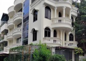Bán biệt thự MT hẻm xe hơi Nguyễn Văn Đậu,Bình Thạnh. 8.3x33m có hồ bơi giá chỉ 26.5 tỷ TL 8118536