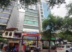 Chính chủ cần bán gấp nhà mặt tiền đường Phan Kế Bính, P. Đa Kao, Quận 1. DT: 8x21m 8134838