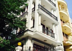 (VIP) Nhà Khu VIP nhất K300 Mặt tiền Công Viên Nguyễn Minh Hoàng - 5x17m - 5 tầng - 20tỉ 8192565