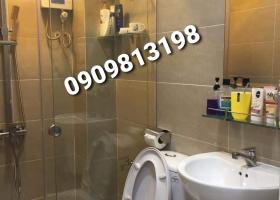 ♥️♥️♥️CHDV đẹp Q8 full NT SHR giao ngay.♥️♥️♥️ 8210291