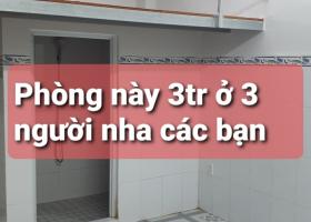 Bán toà nhà căn hộ DV 69 phòng ngủ, đường Chu Văn An, P. 12, BT. 9,5x24m NH 12m 6 lầu, giá 33.5 tỷ TL 8219820