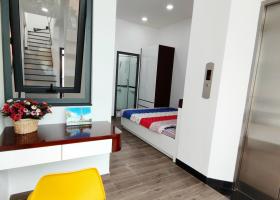 Bán Nhà Đẹp Xây Dựng Tâm Huyết Đẹp Như Hình q3, HXH 4.5*20M 8224801