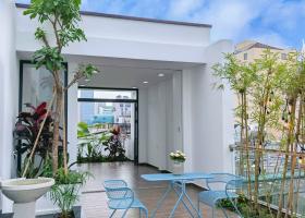 Bán Nhà Đẹp Xây Dựng Tâm Huyết Đẹp Như Hình q3, HXH 4.5*20M 8224801
