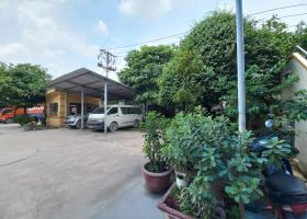 Nhà Xưởng Lớn Diện Tích 16.390m2 Tân Thới Nhất Quận 12 8231719