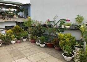 Nhà hẻm đường Hoà Hưng, P.13, Q10. Giá: 8.8 Tỷ 8244401