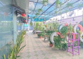 Bán Đất Tặng Nhà 260m2 Ngang 9m 7 Tỷ Xuân Thới Sơn 8253157