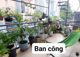 Bán nhà đẹp ở ngay, Dương Văn Cam, Linh Tây, 60m2 giá 3.7 tỷ 8301135