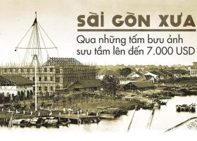 Bán nhà MT ngay Phạm Ngọc Thạch, P6, Q3. (4.5x19m) hầm, 6 lầu, TM, giá 32.5 tỷ 8304225