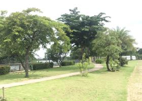 1 Căn Nhà Phố Duy nhất Đại Phúc, Đường Phạm Hùng ND, ngay công viên vên sông, giá 9,5 tỷ 8316585